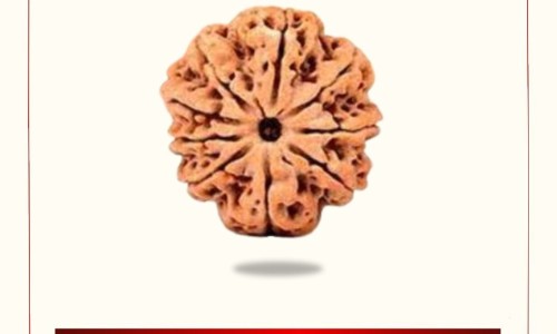 乙肝病毒携带者和大三阳的区别网—知名的乙肝病毒携带者和大三阳的区别图片网站,分享乙肝病毒携带者大三阳和小三阳区别知识