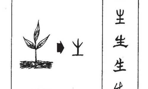 乙肝病毒携带者和大三阳小三阳有什么区别-乙肝病毒携带者和大三阳的区别网—知名的乙肝病毒携带者和大三阳的区别图片网站,分享乙肝病毒携带者大三阳和小三阳区别知识